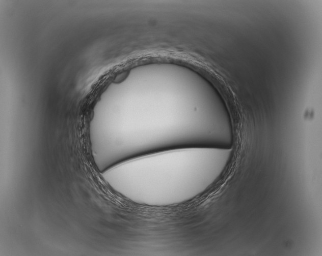 X0000115721494200911121050