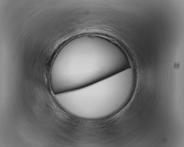 X0000115721497200911121051