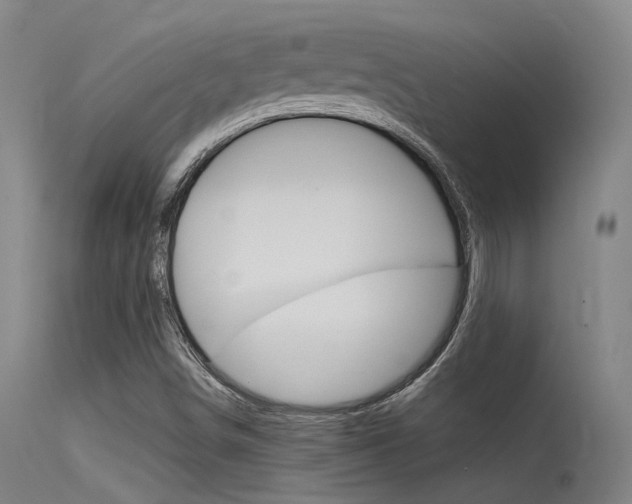 X0000115721498200911121051