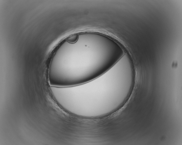 X0000115721502200911121051