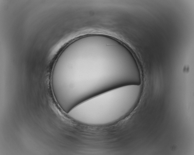 X0000115721503200911121051