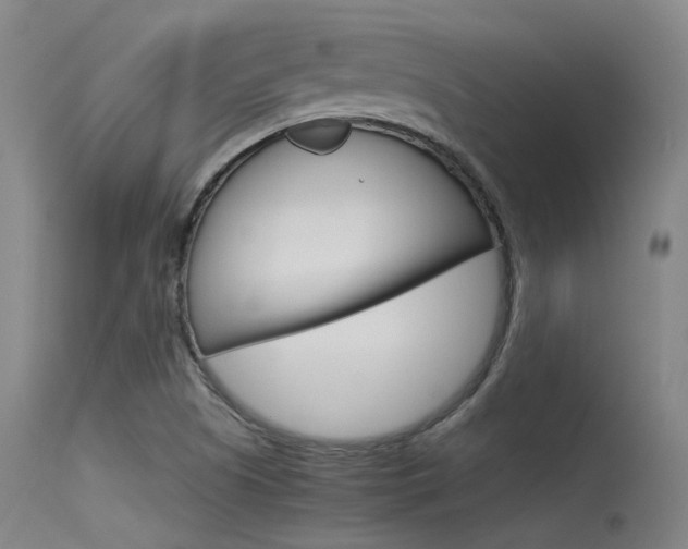 X0000115721505200911121051