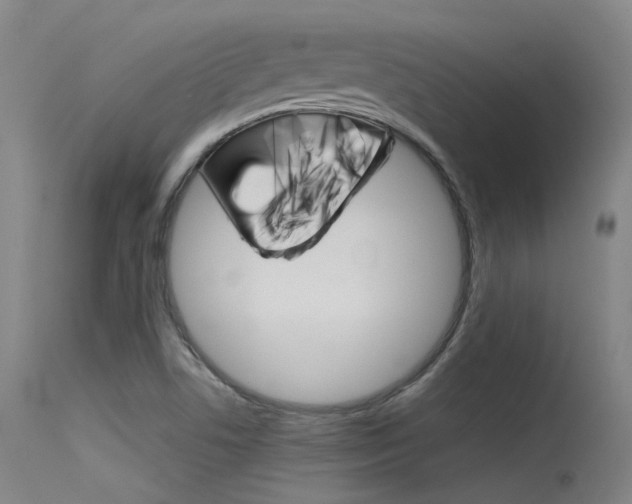 X0000115721506200911121051