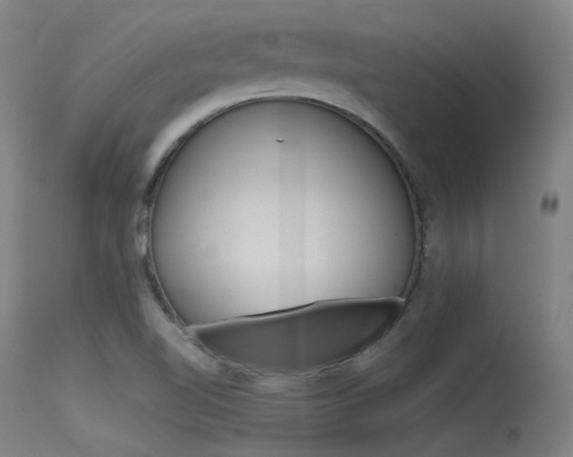 X0000115721510200911121051