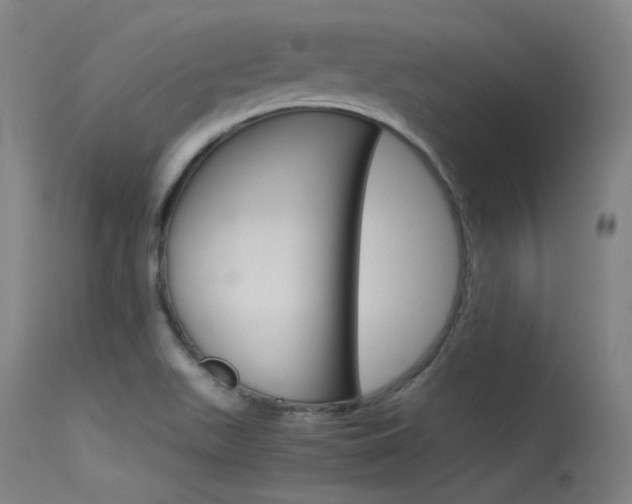 X0000115721511200911121051