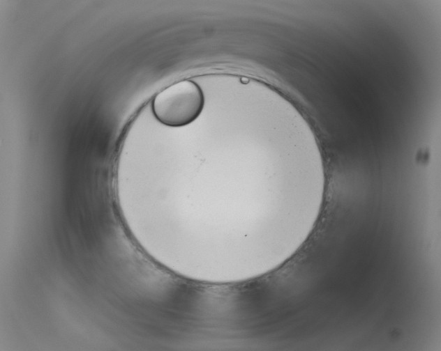X0000115721514200911121051