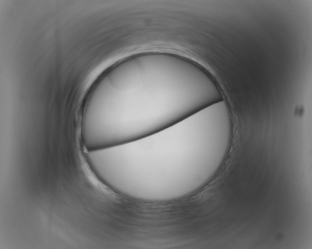 X0000115721515200911121051