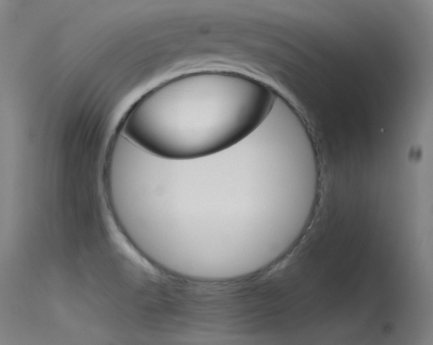 X0000115721518200911121051