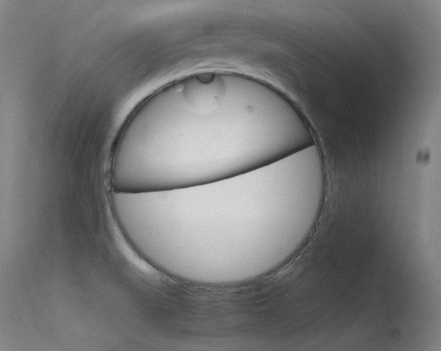X0000115721519200911121051