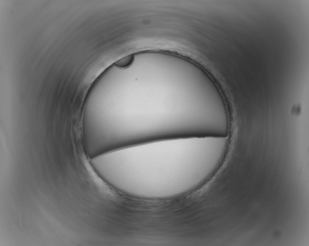 X0000115721521200911121051
