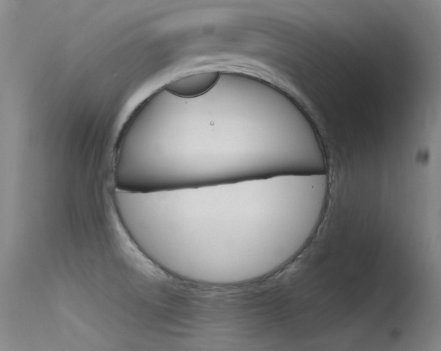 X0000115721522200911121051