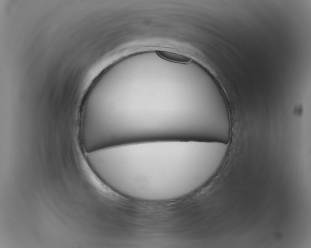 X0000115721523200911121051
