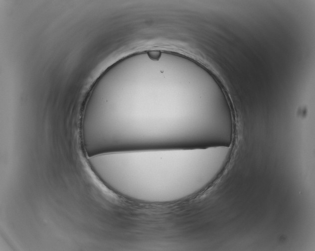 X0000115721525200911121051