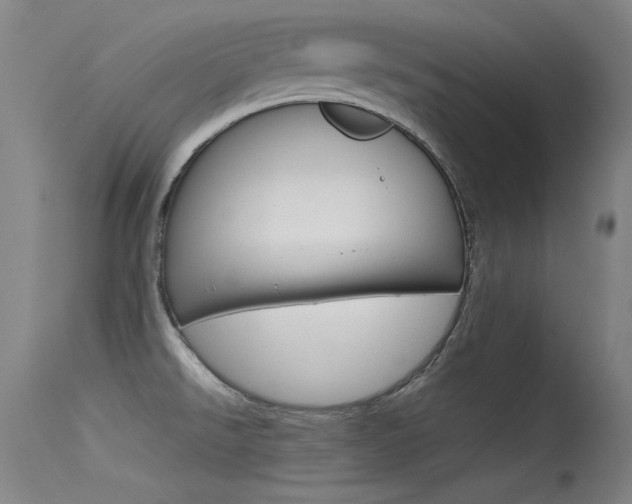 X0000115721526200911121051