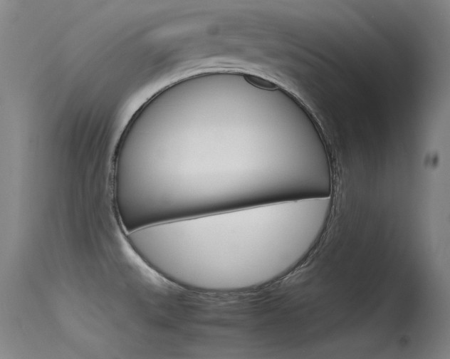 X0000115721527200911121051