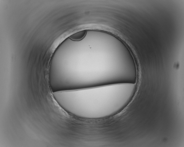X0000115721529200911121051