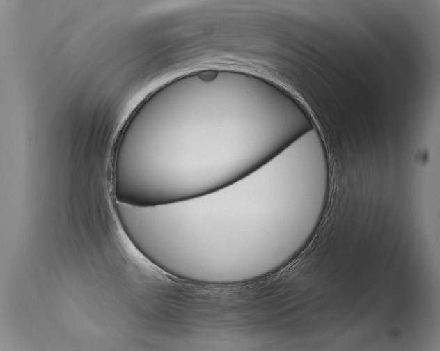 X0000115721531200911121051