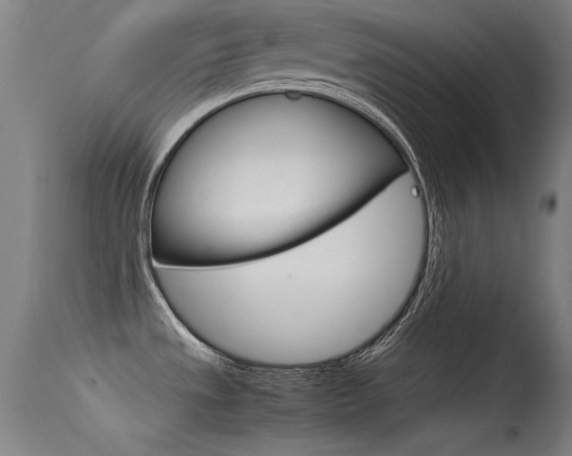 X0000115721533200911121051