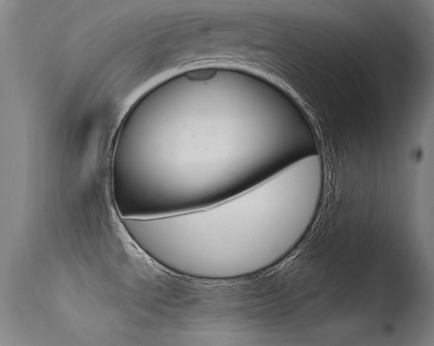 X0000115721534200911121051