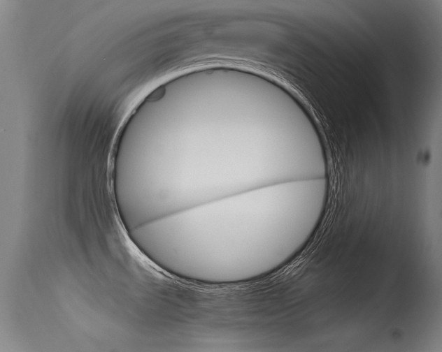 X0000115721535200911121051
