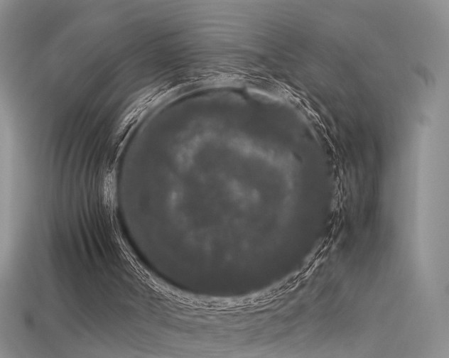 X0000115720002200911121501