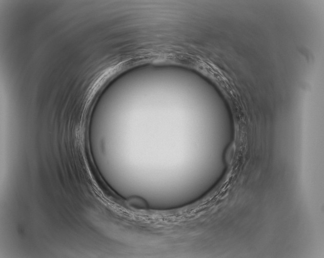 X0000115720003200911121501