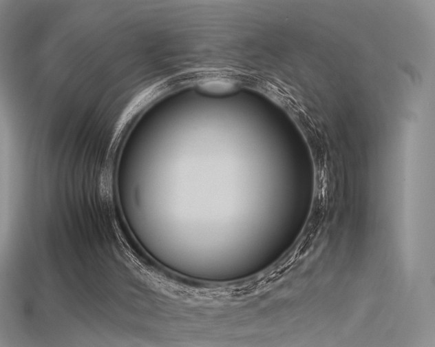 X0000115720004200911121501