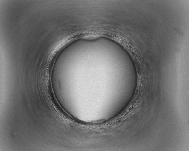 X0000115720005200911121501