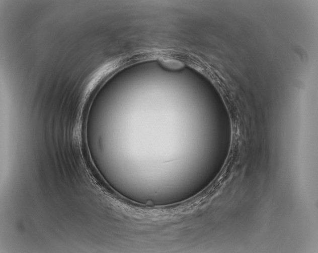 X0000115720006200911121501