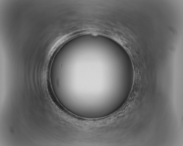 X0000115720007200911121501
