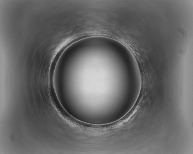 X0000115720008200911121501