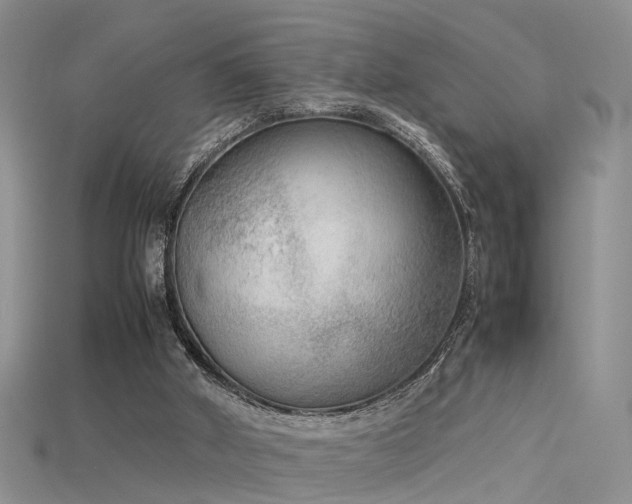 X0000115720010200911121501