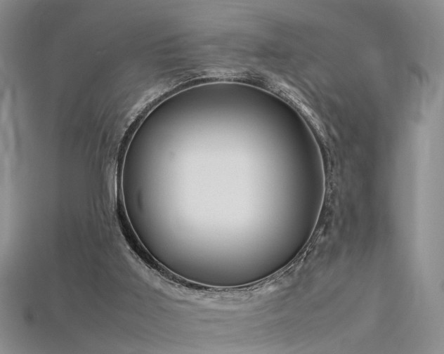 X0000115720011200911121500