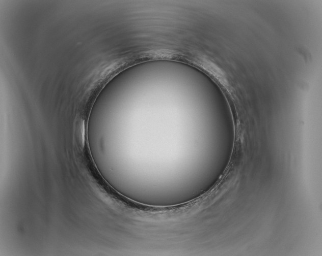 X0000115720013200911121500