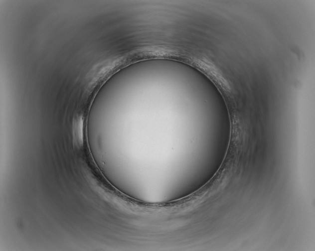 X0000115720014200911121500