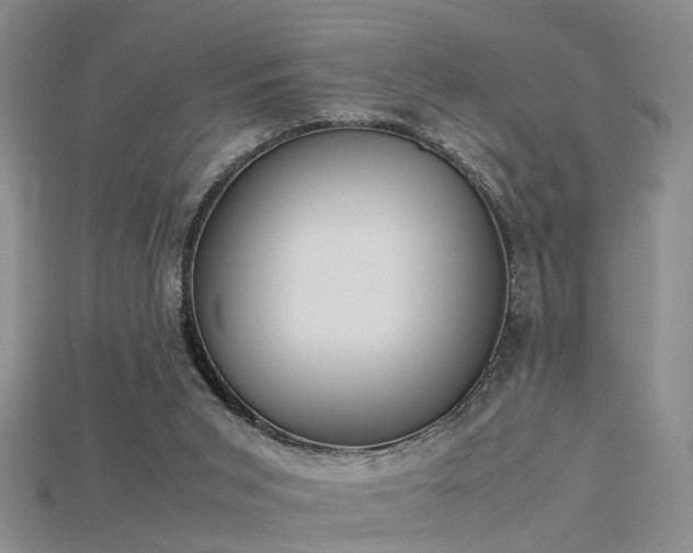 X0000115720015200911121500