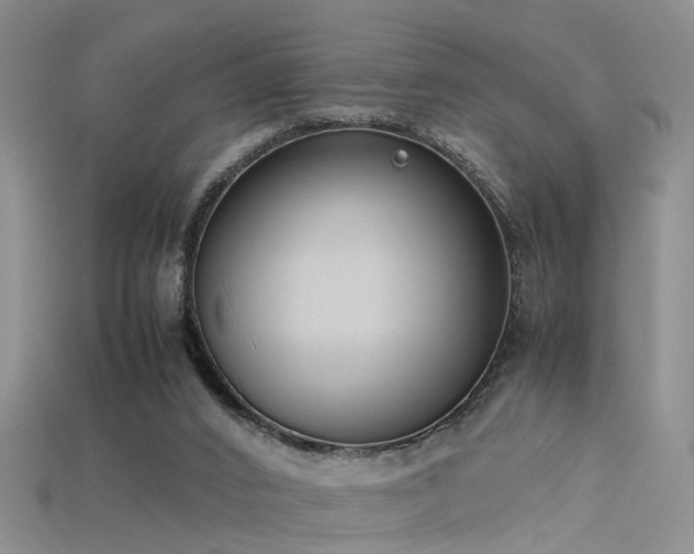 X0000115720016200911121500