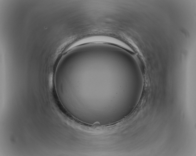 X0000115720019200911121500
