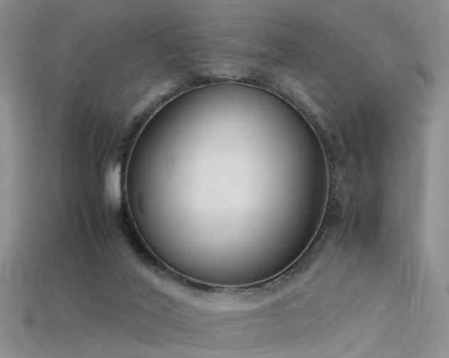 X0000115720020200911121500