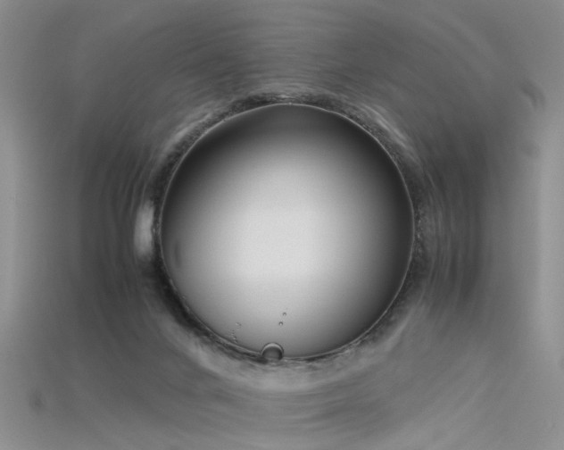 X0000115720024200911121500