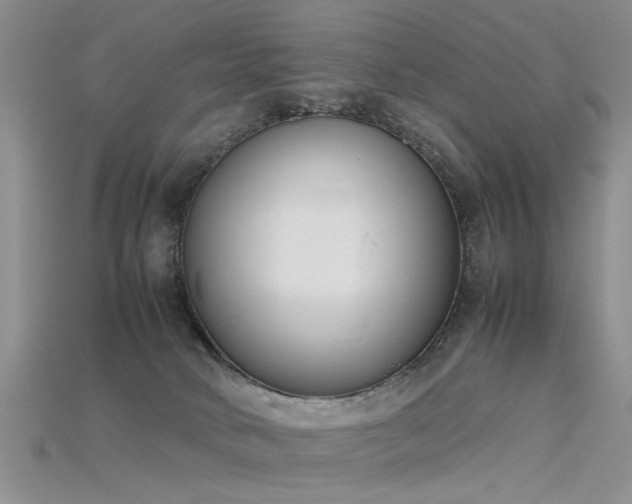 X0000115720034200911121500