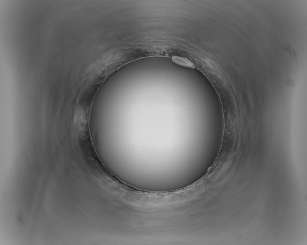 X0000115720037200911121500