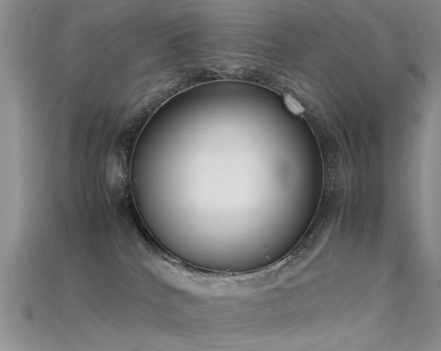 X0000115720040200911121500