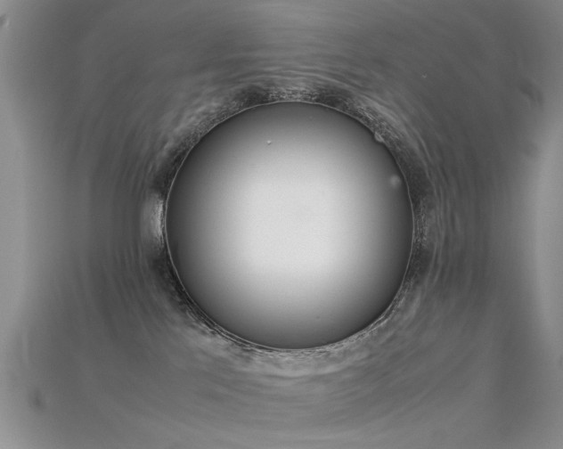 X0000115720041200911121500