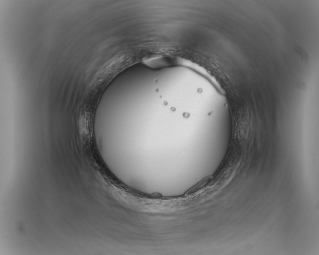 X0000115720044200911121500