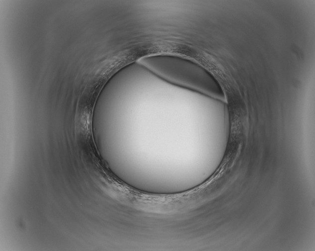 X0000115720045200911121500