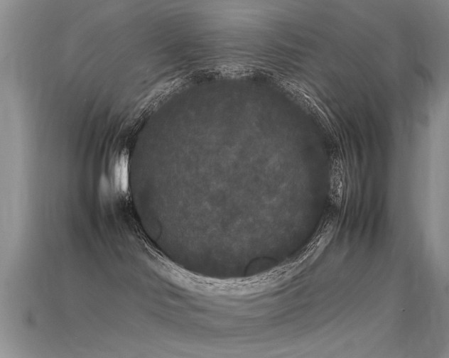 X0000115720046200911121500