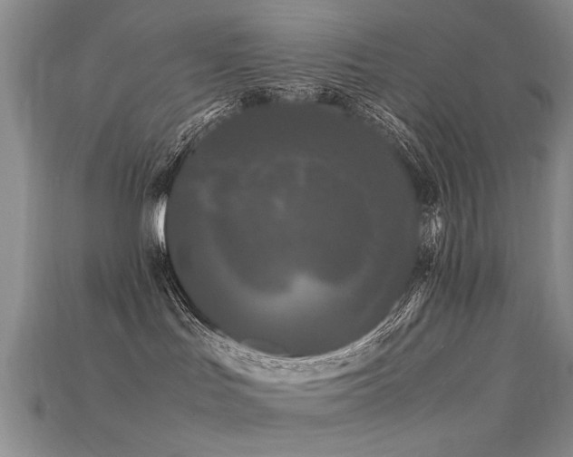 X0000115720047200911121500