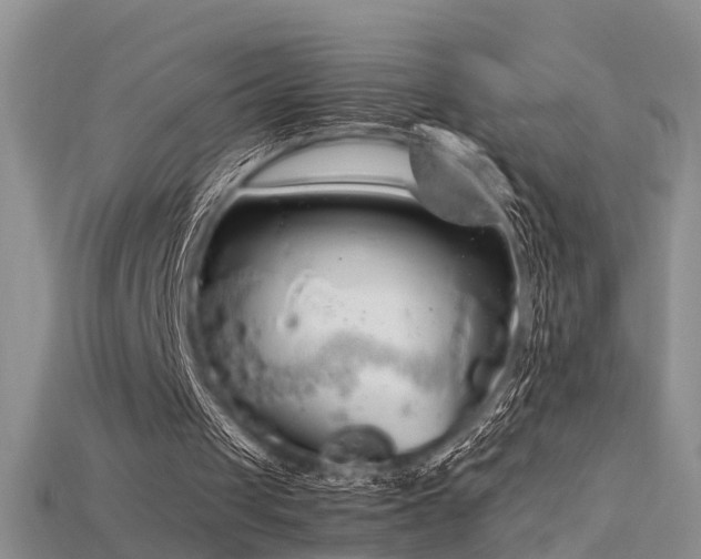 X0000115720049200911121459