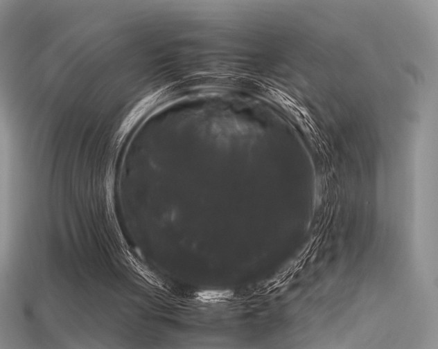 X0000115720051200911121459